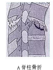 QQ图片20191019084050.png